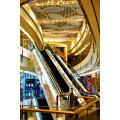 Economical Safe Indoor Types Vvvf Escalator